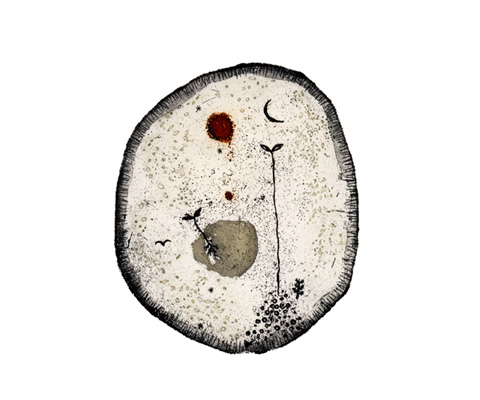 宇宙に散る昼と夜