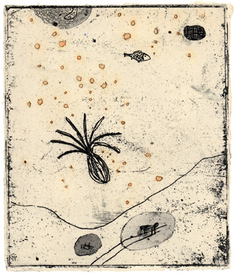 晴れた夜、明日は雨