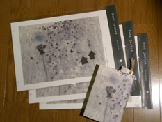 �u�b�N�J�o�[